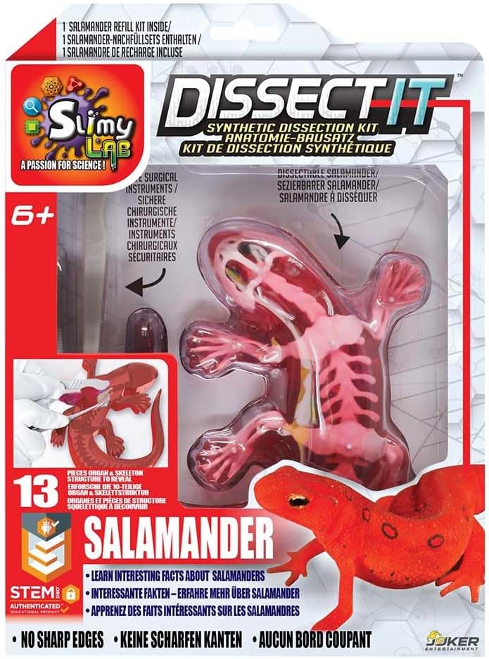 Original SLIMY Lab Dissect-IT Salamander - Experimentieren & Forschen Sezier-Set - Schleim Labor, pr