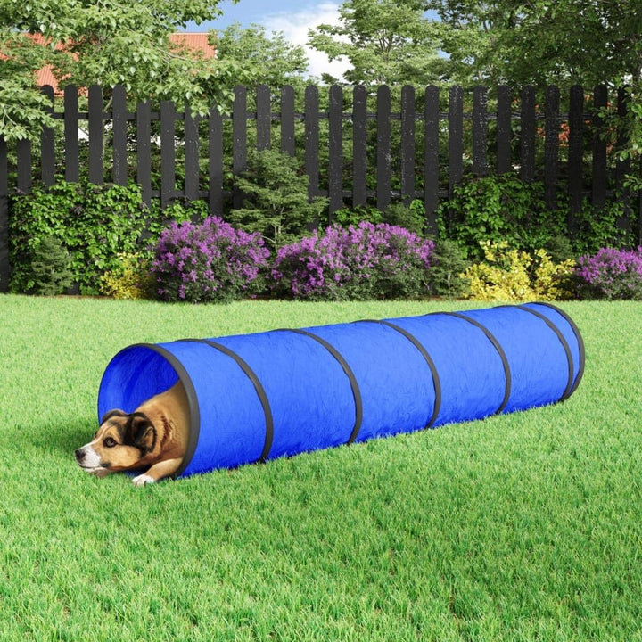 vidaXL Hundetunnel, Spieltunnel mit Heringen Tragetasche, Agility Tunnel Agility Ausrüstung für Hund