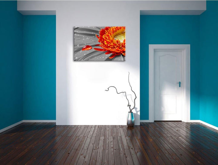 Wassertropfen auf Gerbera schwarz/weiss Format: 100x70 auf Leinwand, XXL riesige Bilder fertig gerah