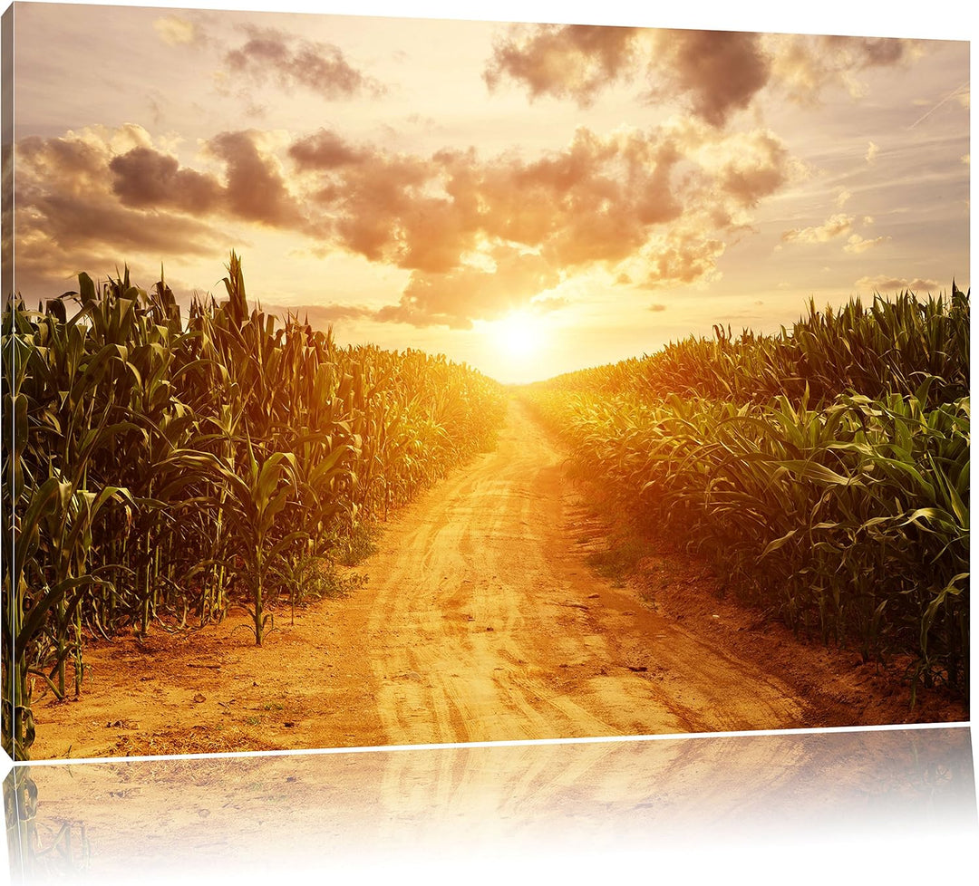 Pfad durch sonniges Feld, Format: 100x70 auf Leinwand, XXL riesige Bilder fertig gerahmt mit Keilrah