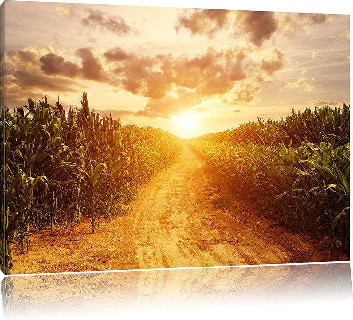 Pfad durch sonniges Feld, Format: 100x70 auf Leinwand, XXL riesige Bilder fertig gerahmt mit Keilrah