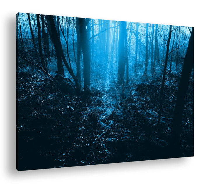 deyoli Dunkler Wald Format 60x40 Effekt: Monocrome Blau als Leinwandbild, Motiv fertig gerahmt auf E