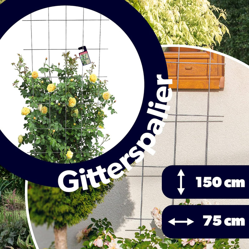 KADAX Rankgitter, Gitterspalier für Garten, Pflanzen, Balkon, Terrasse, Metall Spalier, Rankhilfe, K