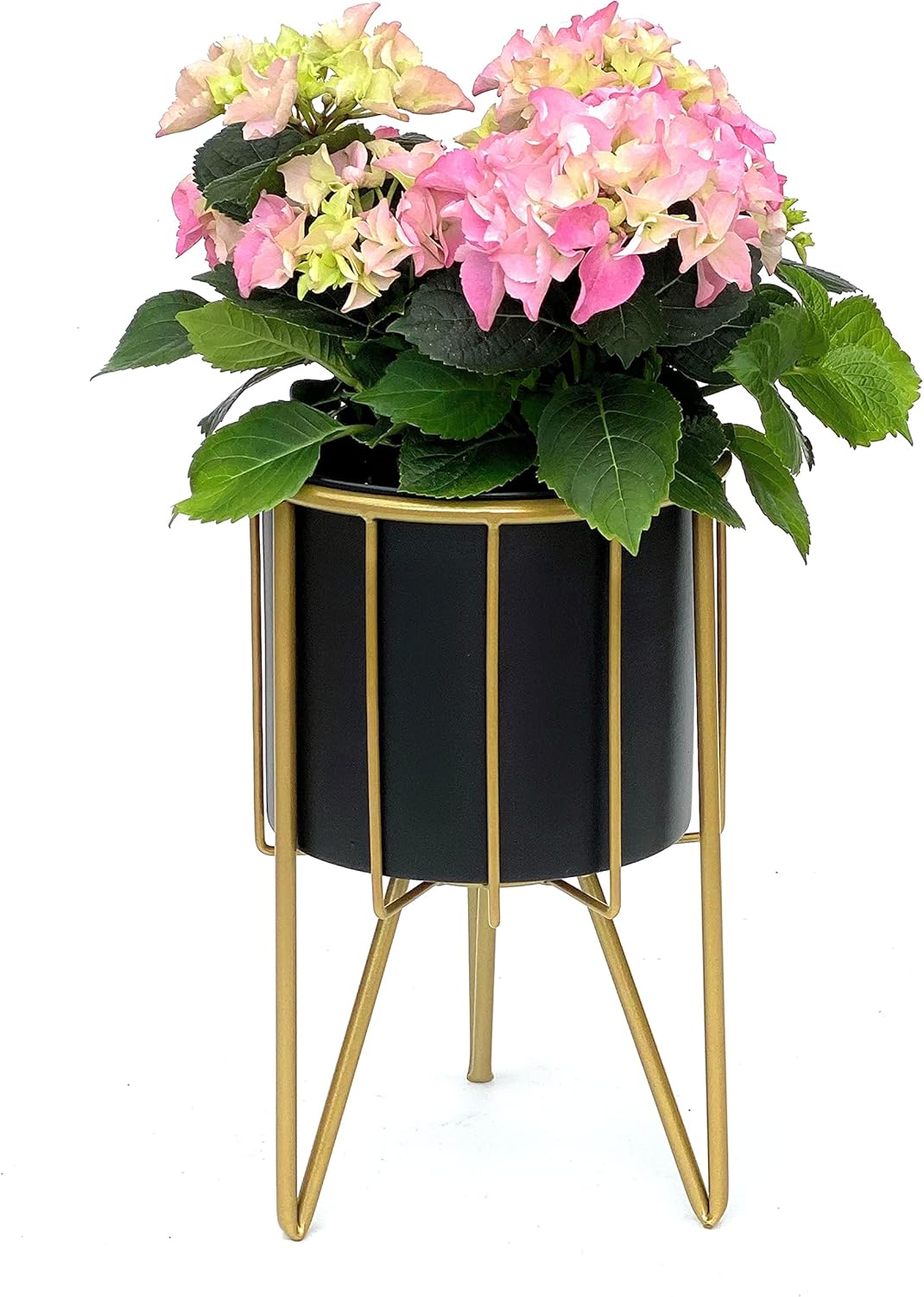 DanDiBo Blumenhocker mit Topf Metall Gold Schwarz Rund S 32 cm Blumenständer 96039 Blumensäule Moder