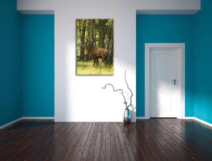 Pixxprint Hirsch im Wald, Format: 100x70 auf Leinwand, XXL riesige Bilder fertig gerahmt mit Keilrah