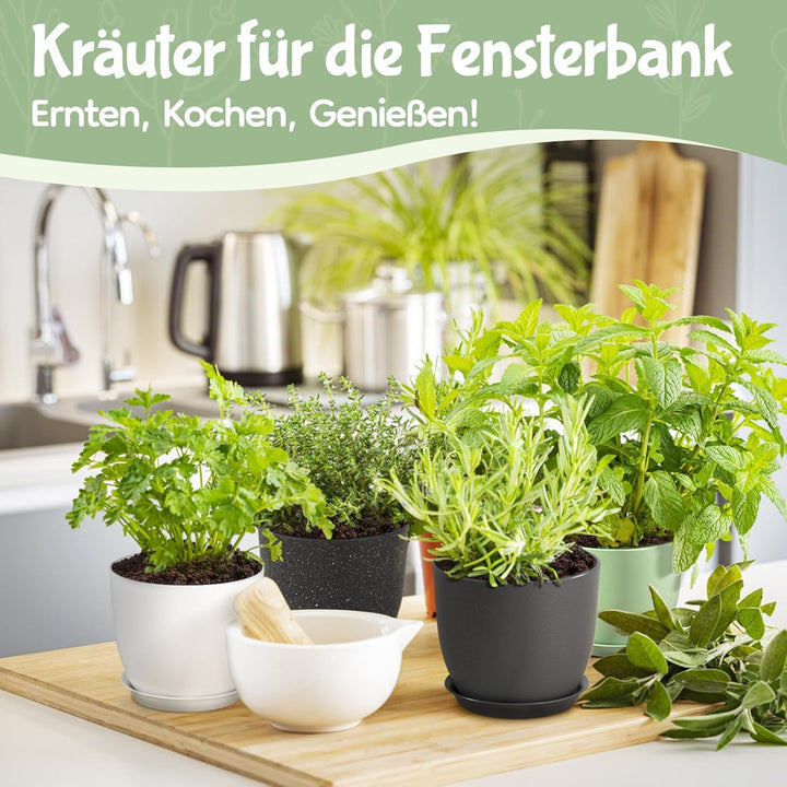 FIASON 25/23/20 cm Schwarz Blumentopf, Kunststoff-kräutertopf mit Drainagelöchern und Untertassen, E