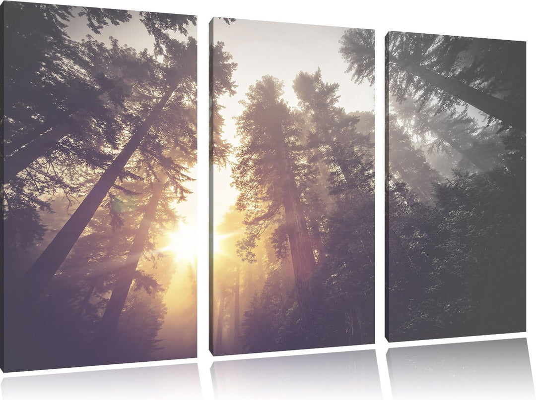 Pixxprint Blick in die Baumwipfel als Leinwandbild/Grösse: 3 Teilig (120x80) cm/Wandbild/Kunstdruck/