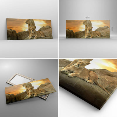 Wandbilder Dekoration Wohnzimmer Löwen Sonnenuntergang Felsen Krallen Bilder auf Leinwand 120x50cm L