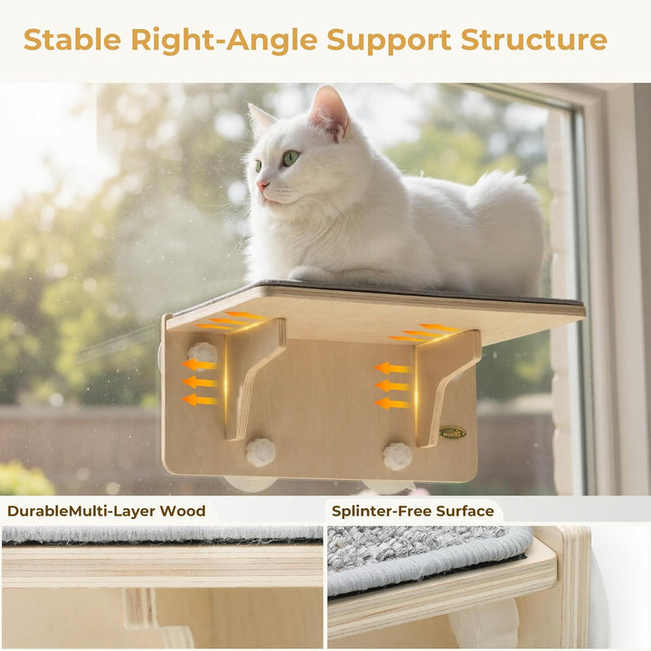 pecute Kletterwand Katzen, 2-in-1 für Wand & Glas, Katzenkletterwand mit Waschbar Abnehmbar Filzunte