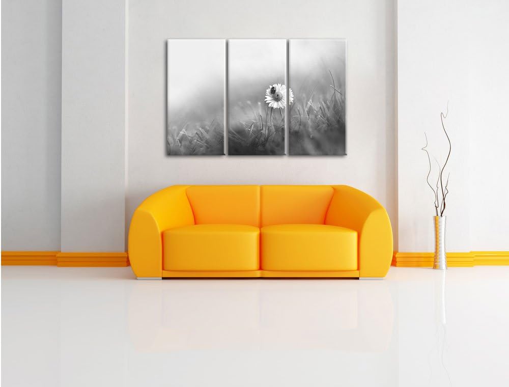 Pixxprint Gänseblümchen Marienkäfer als Leinwandbild/Grösse: 3 Teilig (120x80) / Wandbild/Kunstdruck