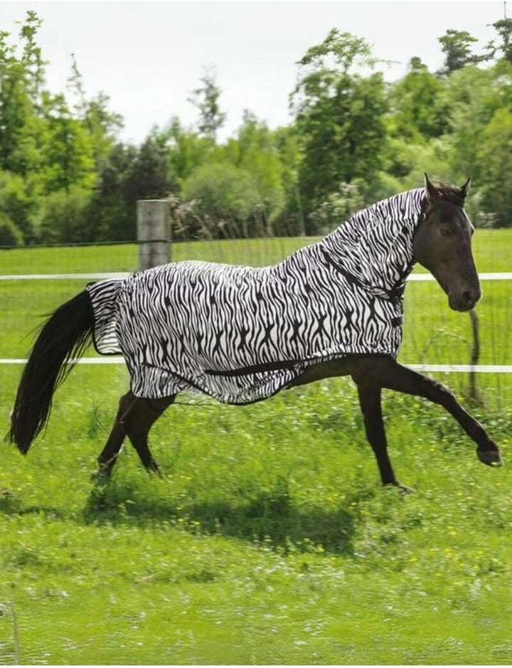 Riding World Fliegendecke Combo Zebra, 145 cm (Gesamtlänge 190 cm) zebra 6ft 3in, zebra 6ft 3in
