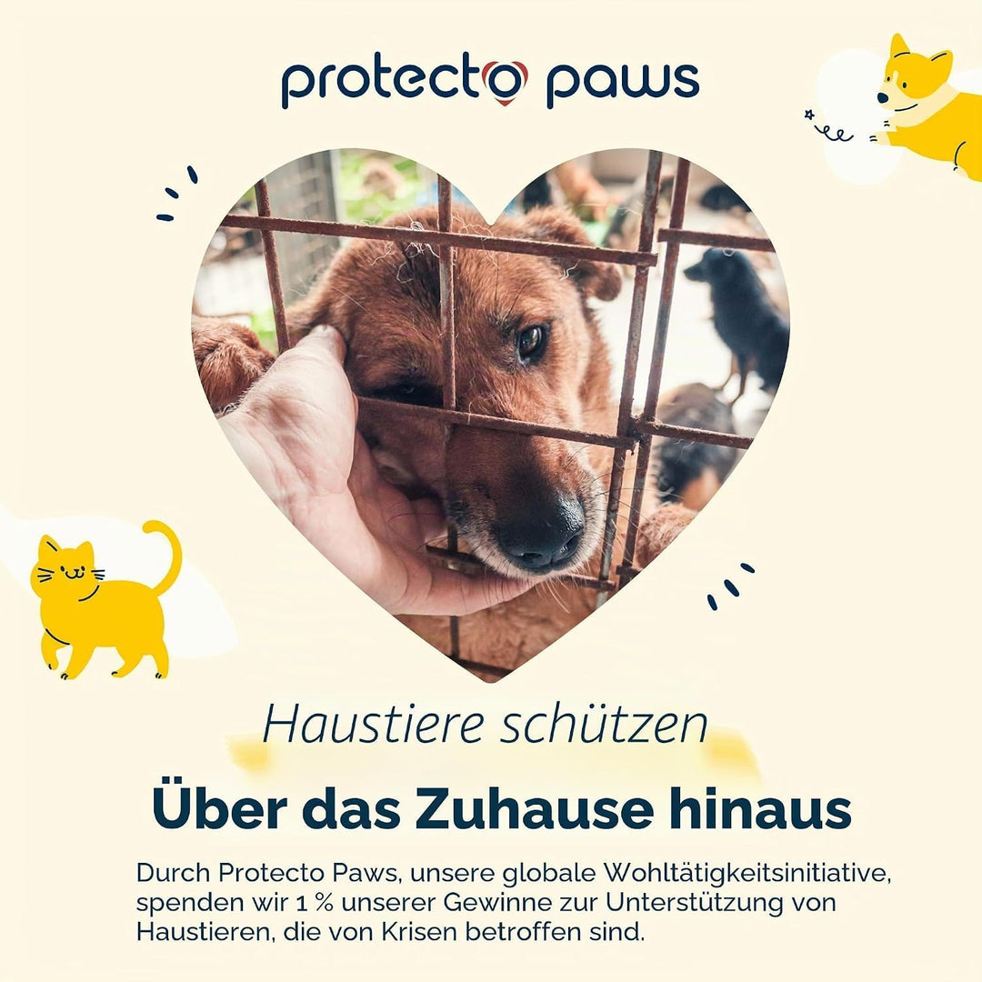 PROTECTO Türschutz vor Kratzern und Katzen, 38 x 10 cm, 2 Stück 2-stück Farblos 38 x 10 cm, 2-stück