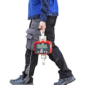 Kern HFD Kranwaage Wägebereich (max.) 6000kg Ablesbarkeit 2000g über Steckernetzteil Mehrfarbig