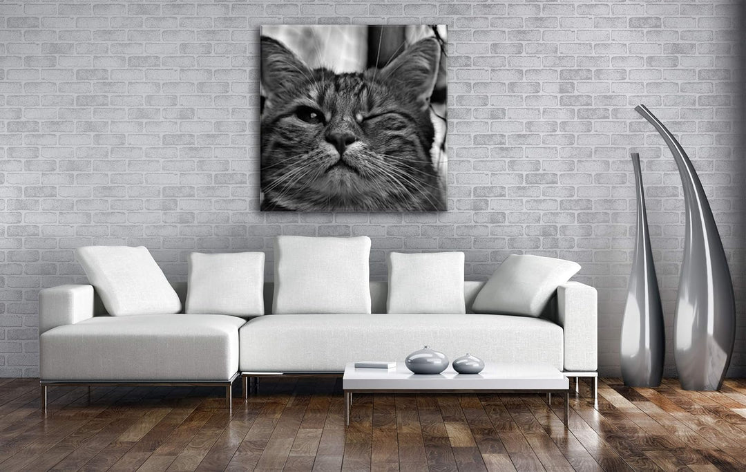 deyoli zwinkernde Katze Format: 70x70 Effekt: Schwarz&Weiss als Leinwandbild, Motiv auf Echtholzrahm