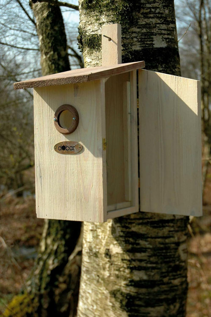 dobar® 22419e Nistkasten Einblick - Nisthöhle für Wildvögel - Höhlenbrüter-Nistkasten Massivholz - P