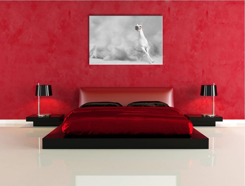 weisser Hengst in der Wüste schwarz/weiss Format: 100x70 auf Leinwand, XXL riesige Bilder fertig ger