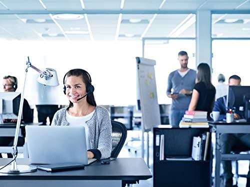 Jabra Evolve 20 SE Stereo Headset, USB-C Kabel mit Anrufsteuerung, Microsoft Teams zertifiziert, Sch
