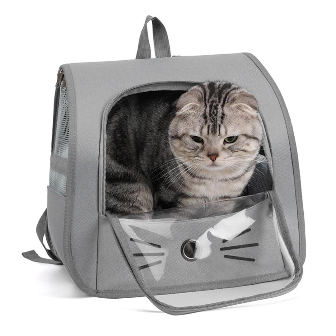 Haustier Rucksack für Kleine Hunde Katzen, Tragbare und Faltbare Katzenrucksack, Hunderucksack, Trag