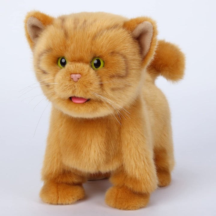 CU-MATE Elektrische und orangene Katzen, die praktische interaktion mit welpen, die gehen, bellen, m