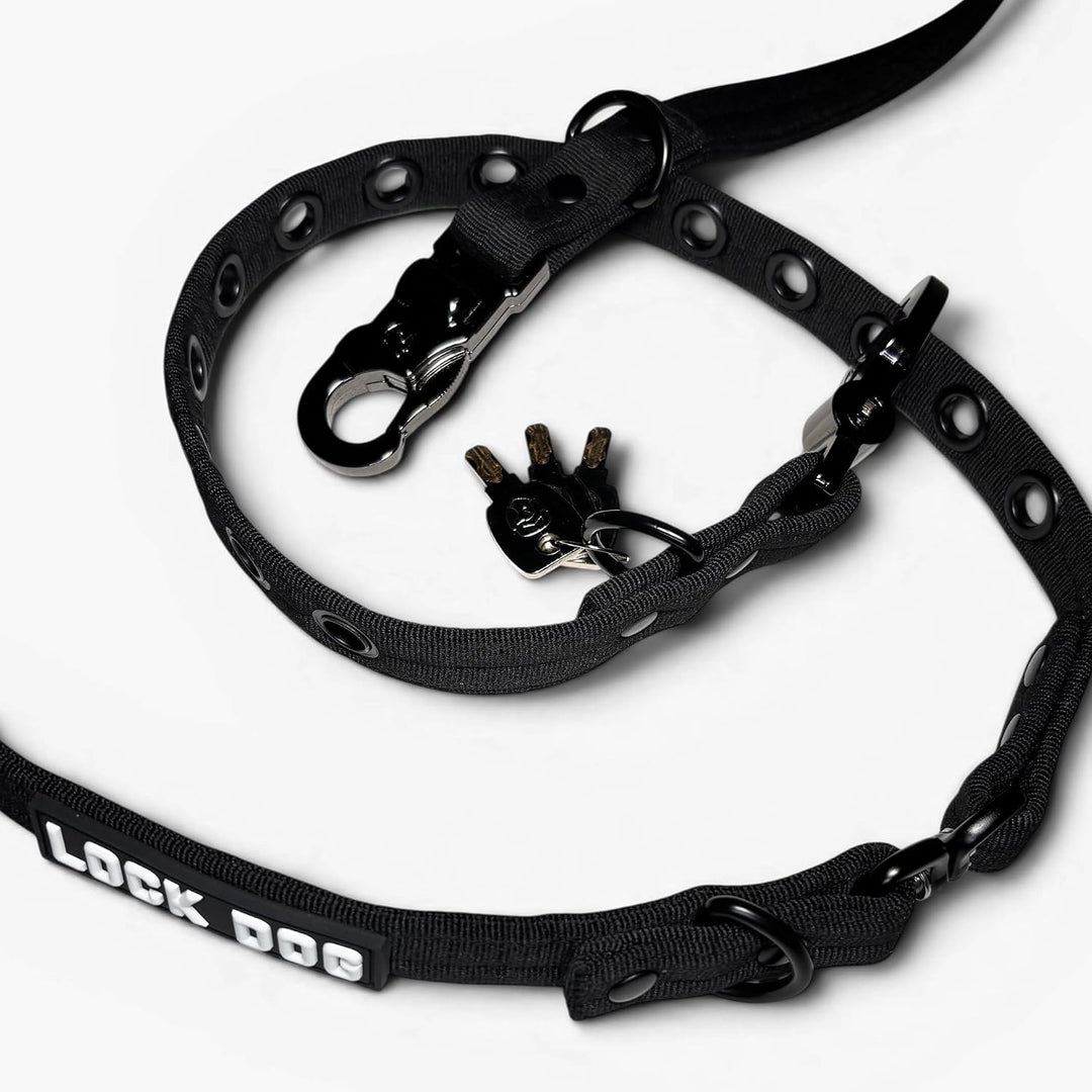 Hundeleine 2.0 LOCK DOG Schnitt und bissfest + 2 Schlösser und 3 Schlüssel sicher abschliessen Leine