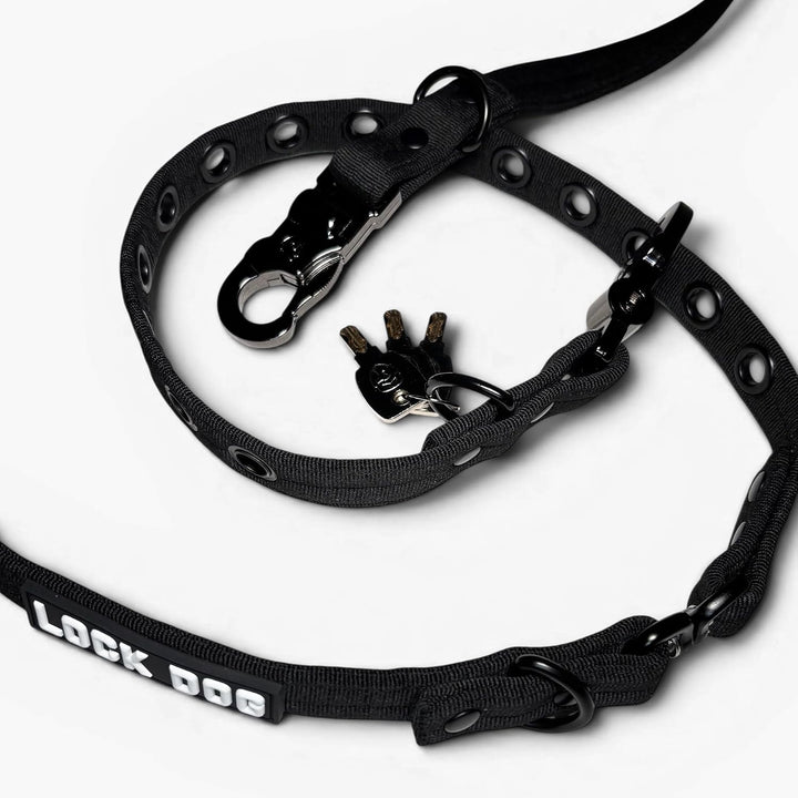Hundeleine 2.0 LOCK DOG Schnitt und bissfest + 2 Schlösser und 3 Schlüssel sicher abschliessen Leine