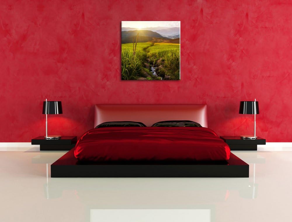 Reisfeld Plantage in Asien, Format: 70x70 auf Leinwand, XXL riesige Bilder fertig gerahmt mit Keilra