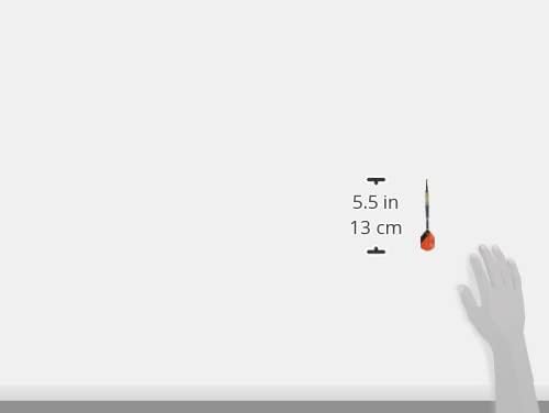 Target Darts Raymond van Barneveld RVB 95 4. Gen. 95% Wolfram Softdarts-Set Dartpfeile 20G, 20G