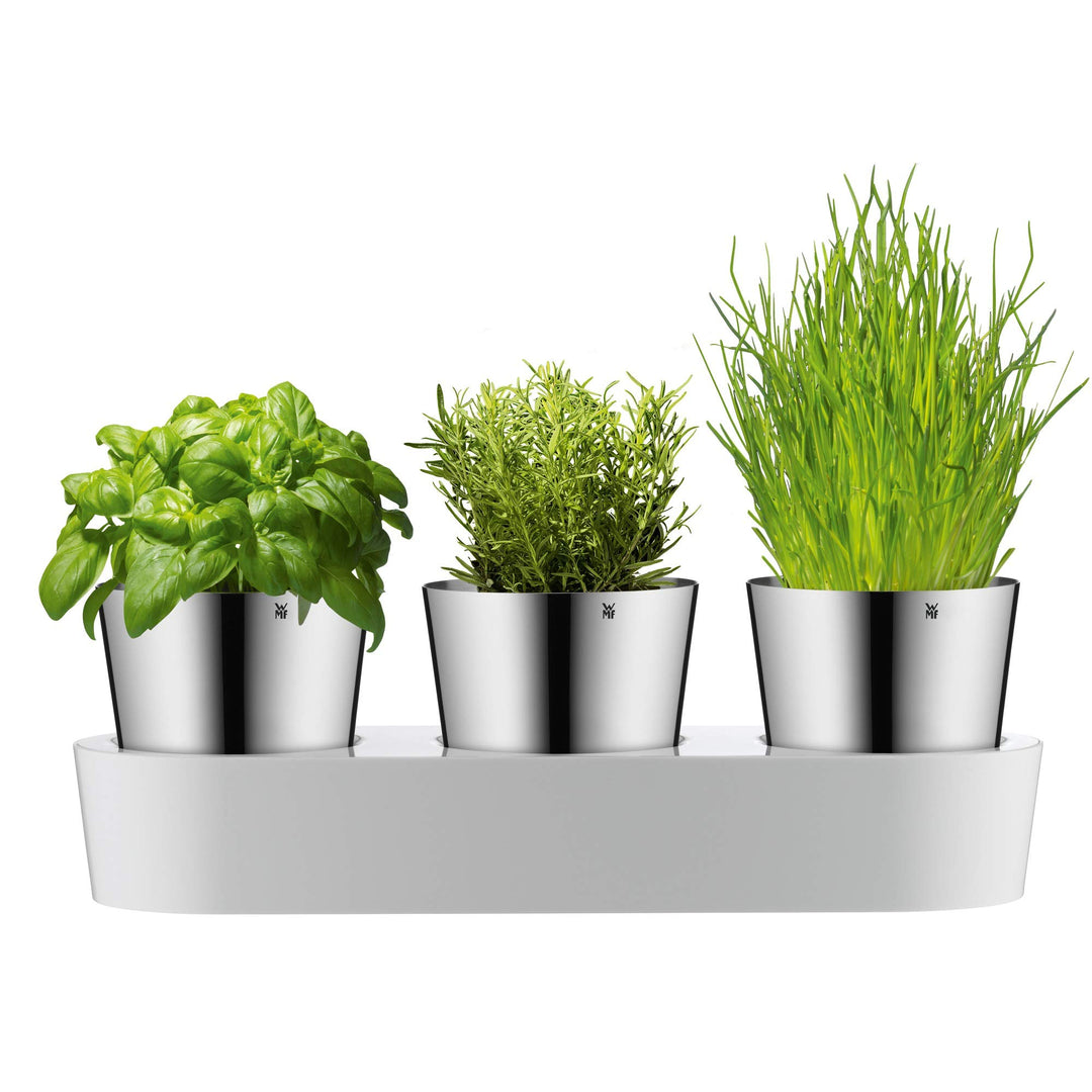 WMF Gourmet Kräutertopf mit Bewässerungssystem 3-teilig, Kräutergarten für die Küche, 36x 12,5x 12,5