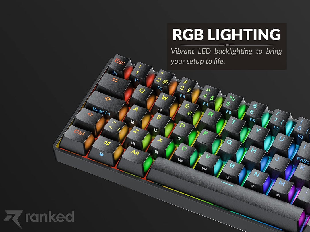 N60 Nova Mechanische 60 Prozent Tastatur | Hotswap Gaming Keyboard | 62 Programmierbare Tasten mit R