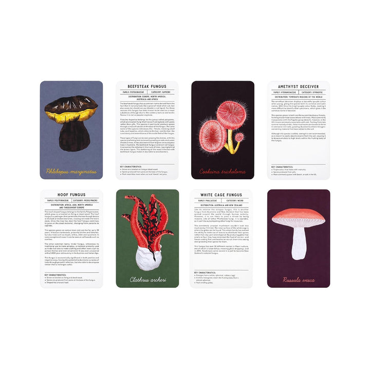 The Mushroom Compendium: Explore the Kingdom of Fungi, Karten