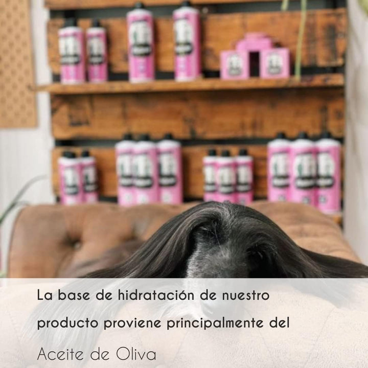 Petuxe Zweiphasiger Conditioner für Haustiere. Vegane Hundespülung. Katzen Conditioner. Alle Rennen.