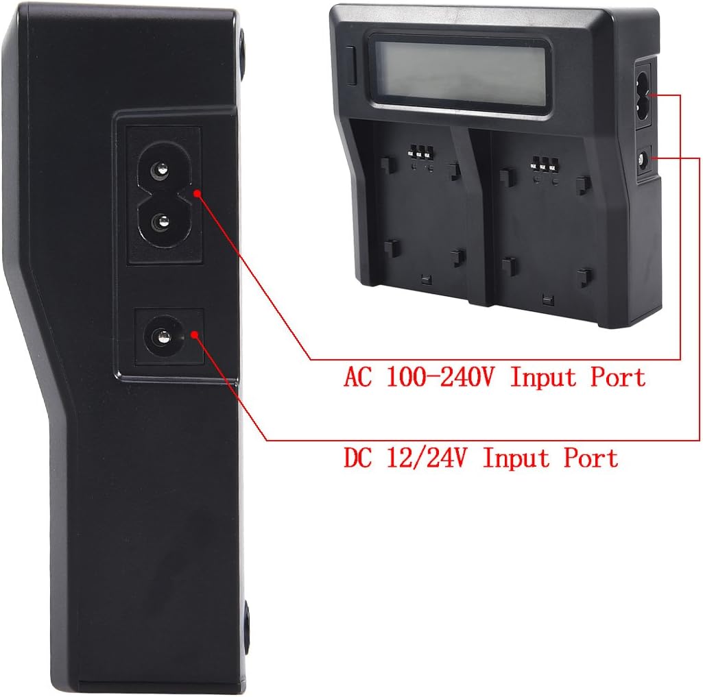 DSTE® 2 Pack Ersatz Batterie NP-F770 + LCD Dual Ladegerät Compatible für Sony NP-F750,CCD-SC5,DCR-TR