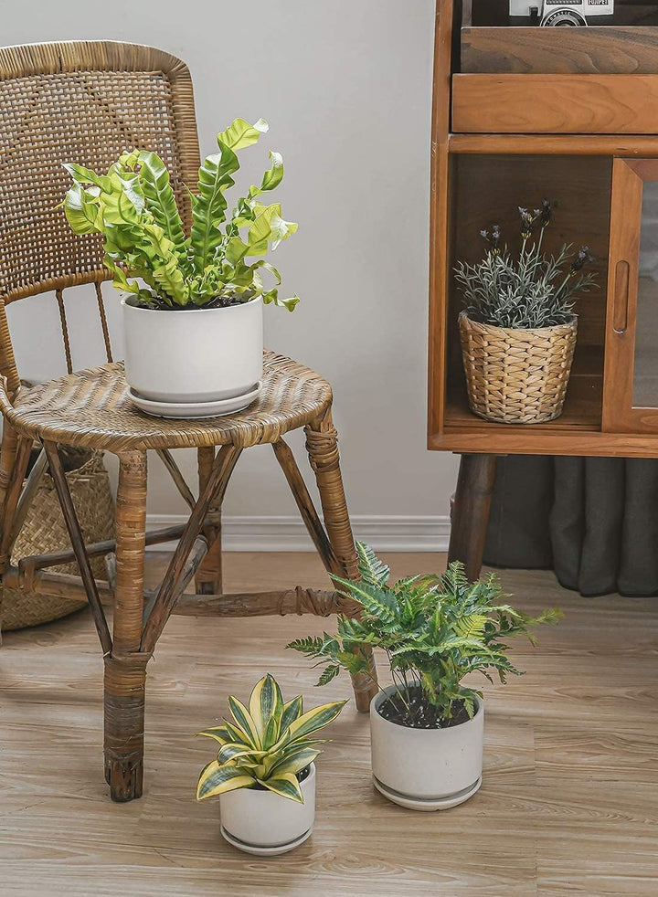 LE TAUCI Ceramic Plant Pots, 4.3+5.3+6.8 inch, Set of 3, Planters with Drainage Hole and Saucer, Ind