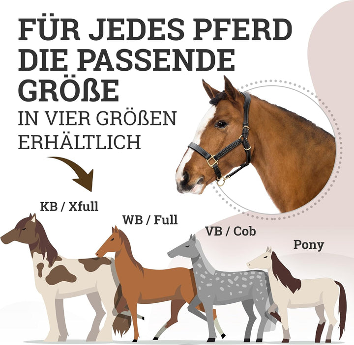 Esposita anatomisches Lederhalfter Deluxe Halfter aus Leder für Pferde Stallhalfter Pferdehalfter -