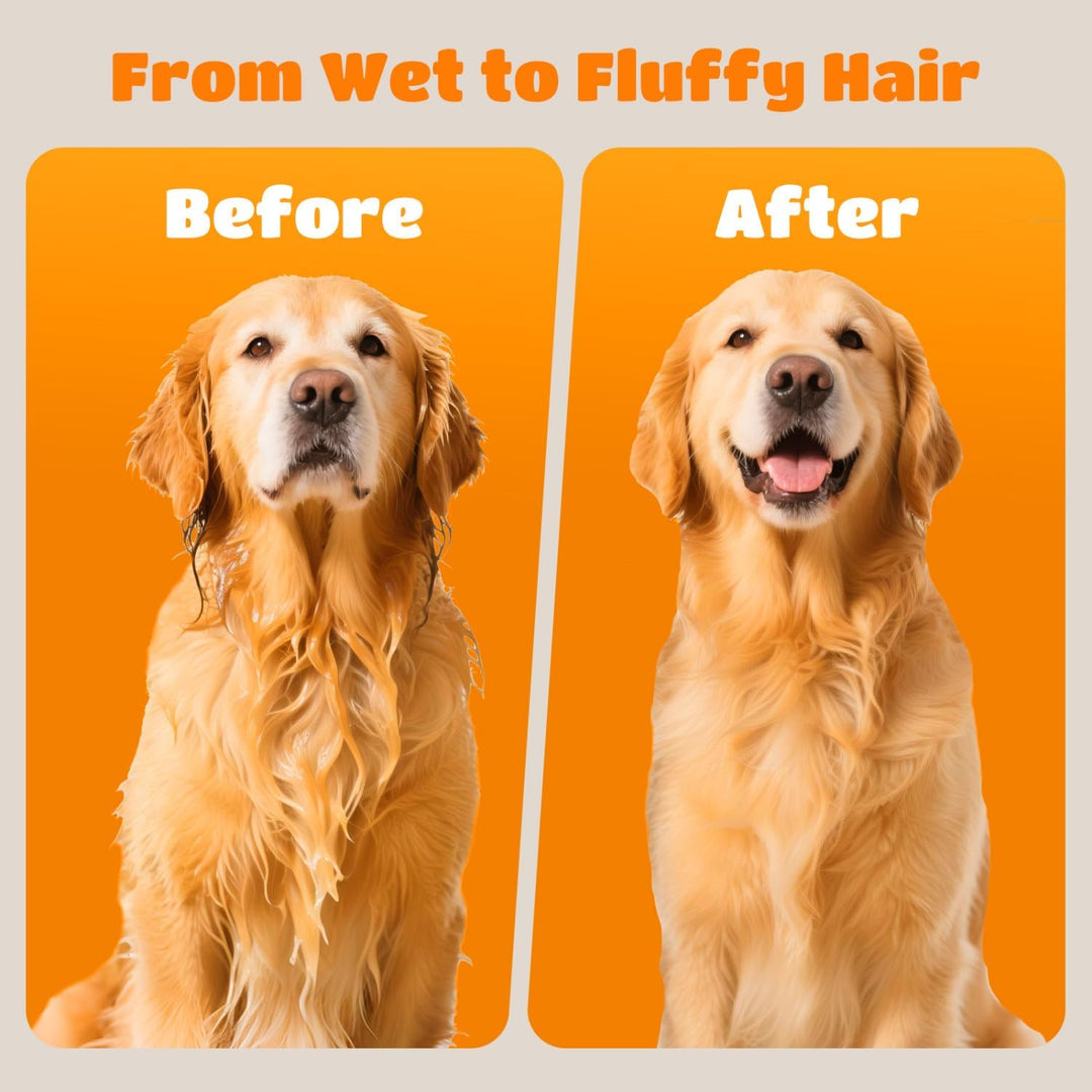 Nobleza Pet Blower Professioneller Haartrockner für Haustiere, mit 4 Düsen, einstellbare Geschwindig