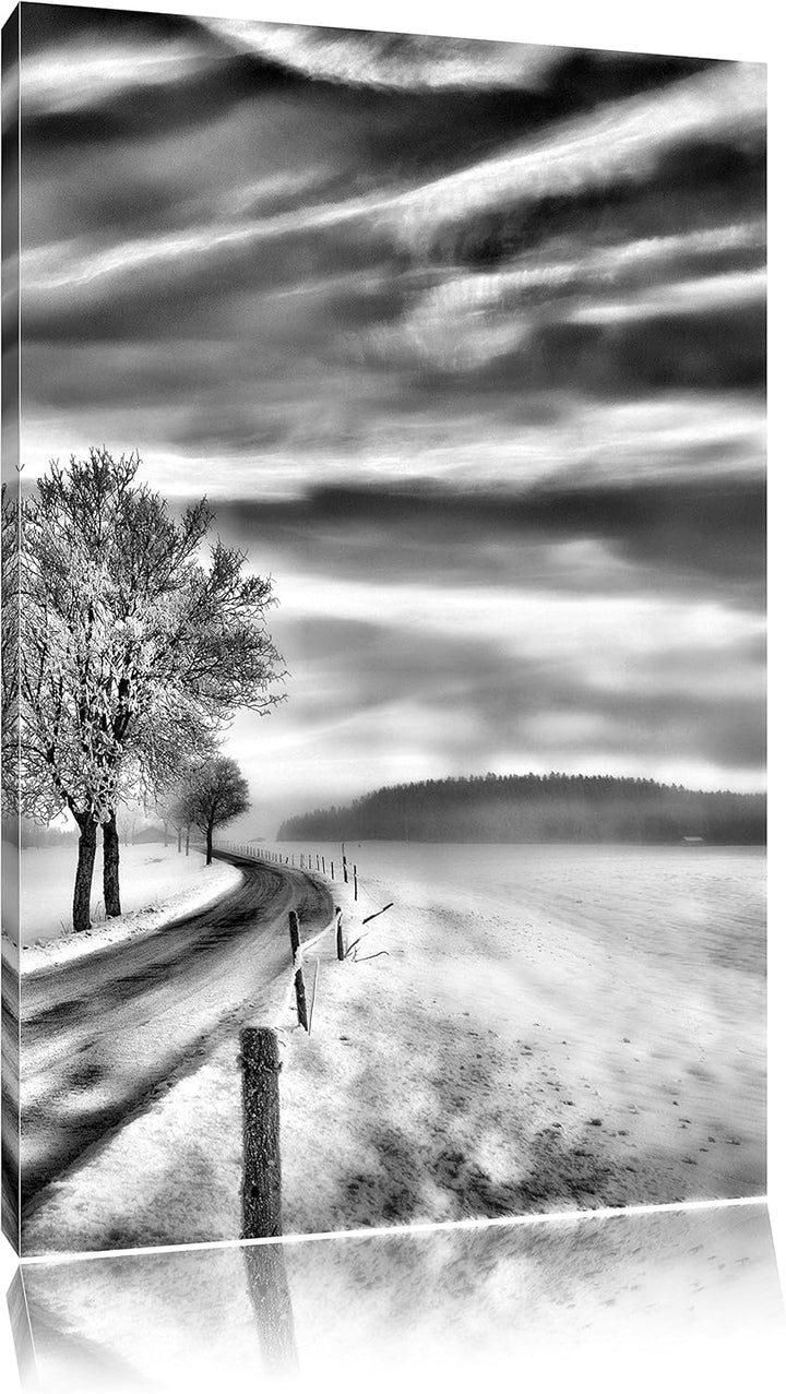 Monocrome, Baum im Schnee, Format: 100x70 auf Leinwand, XXL riesige Bilder fertig gerahmt mit Keilra