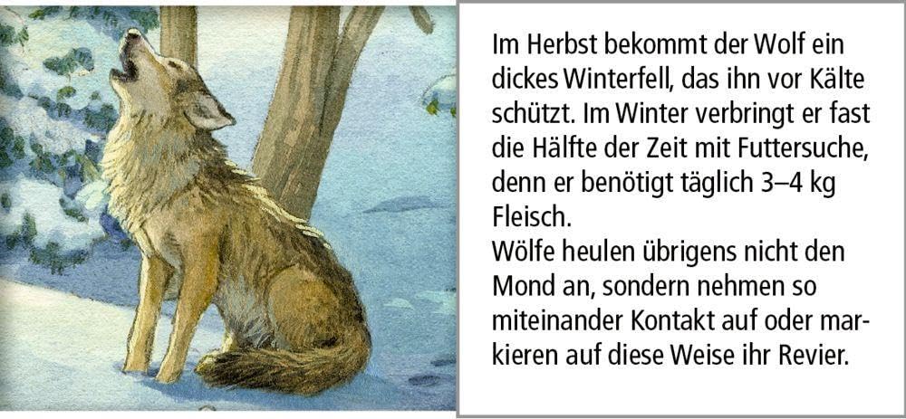 Sound-Adventskalender – Hört ihr die Tiere im Winterwald?: Mit 24 Tierstimmen hinter den Türchen, Ka