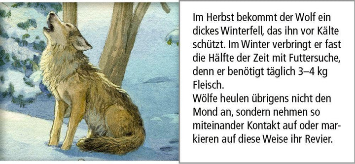 Sound-Adventskalender – Hört ihr die Tiere im Winterwald?: Mit 24 Tierstimmen hinter den Türchen, Ka
