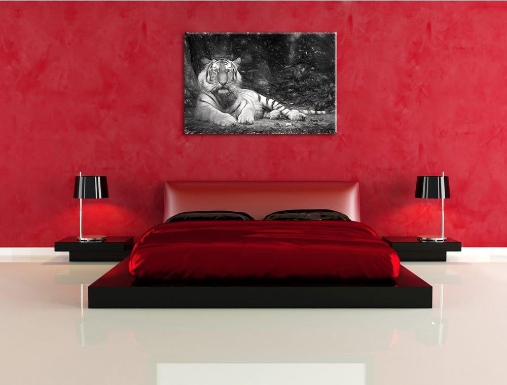 Liegender Tiger Deluxe Format: 100x70 cm auf Leinwand, XXL riesige Bilder fertig gerahmt mit Keilrah