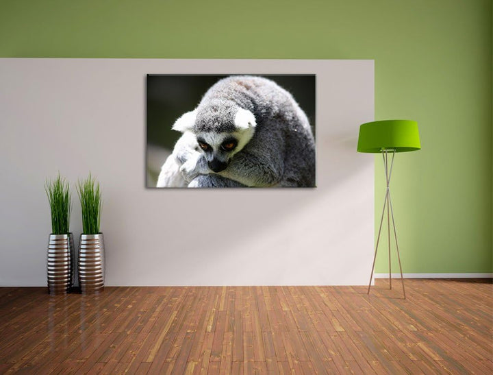 Pixxprint sitzender Katta auf Leinwand, XXL riesige Bilder fertig gerahmt mit Keilrahmen, Kunstdruck