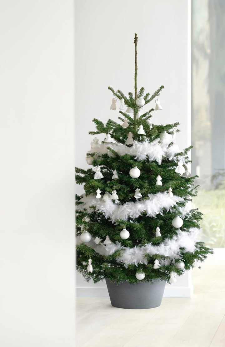 Ecopots Christbaumständer mit Wasserspeicher für Bäume bis 3,00 m Baumhöhe umkippsicher - Tannenbaum