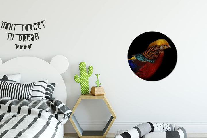 MuchoWow Wandbild Rund Wanddeko Deko Wohnzimmer Bilder 30x30 cm Vogel - Federn - Schwarz - Porträt,