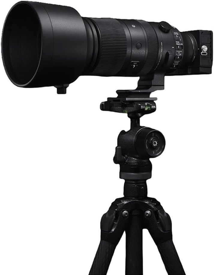 Sigma 60–600 mm F4.5-6.3 DG DN OS für Sony E-Mount