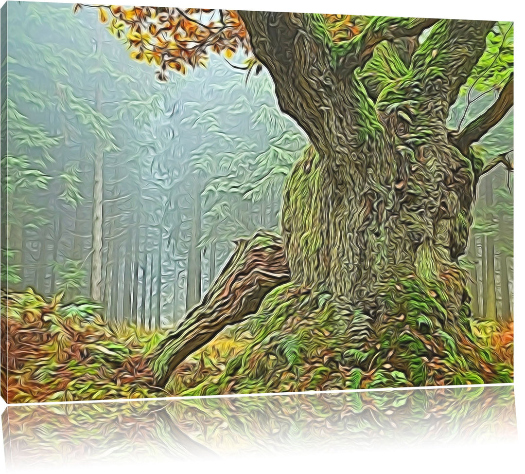 Dicker Baum im Wald im Moos Deluxe Format: 100x70 cm auf Leinwand, XXL riesige Bilder fertig gerahmt