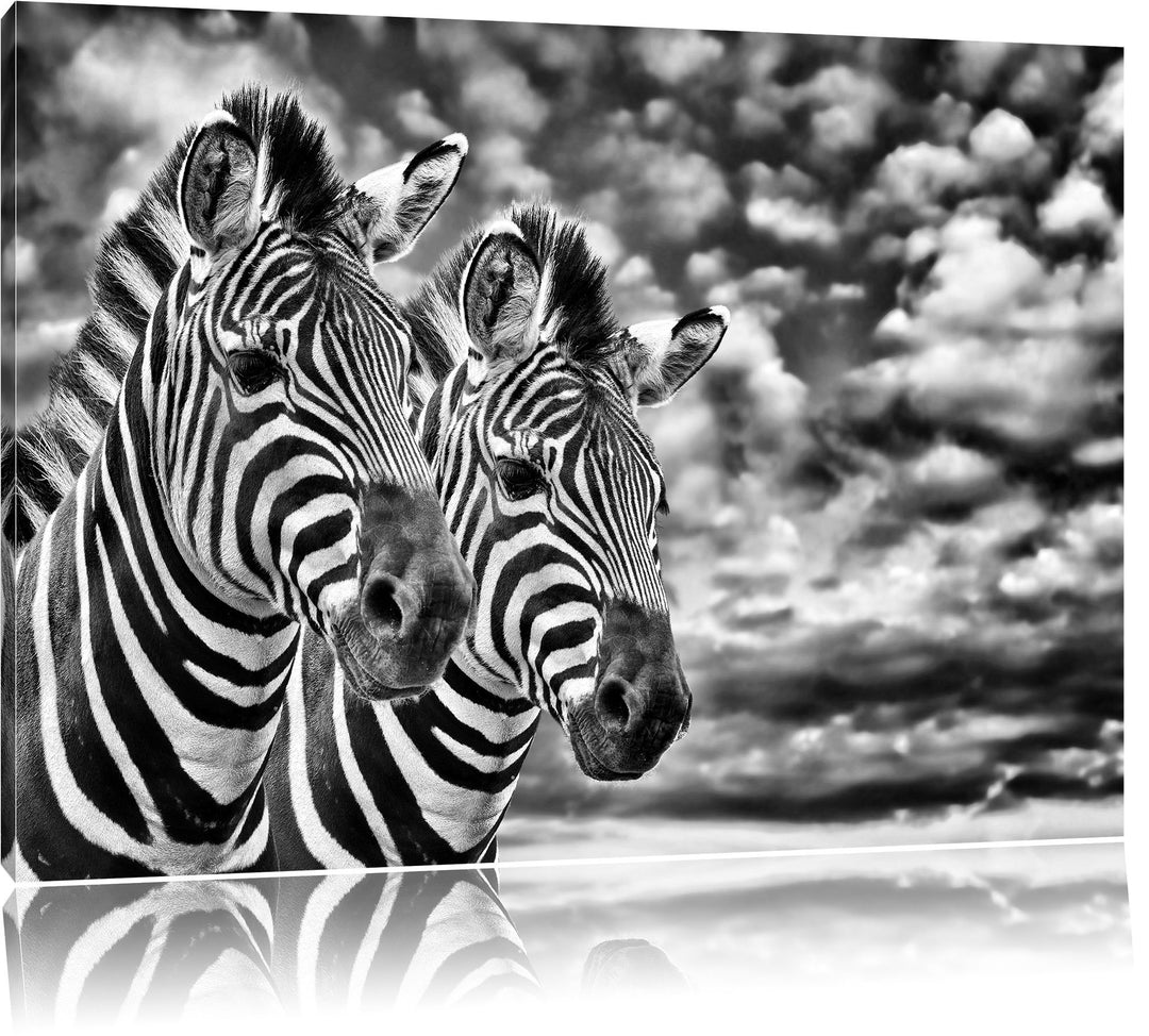 Monocrome, Zebra Pärchen , Format: 100x70 auf Leinwand, XXL riesige Bilder fertig gerahmt mit Keilra