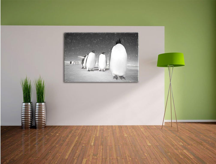 Pixxprint Kaiserpiguine in Antarktis Kunst/Format: 100x70cm / Leinwandbild fertig bespannt Wandbild