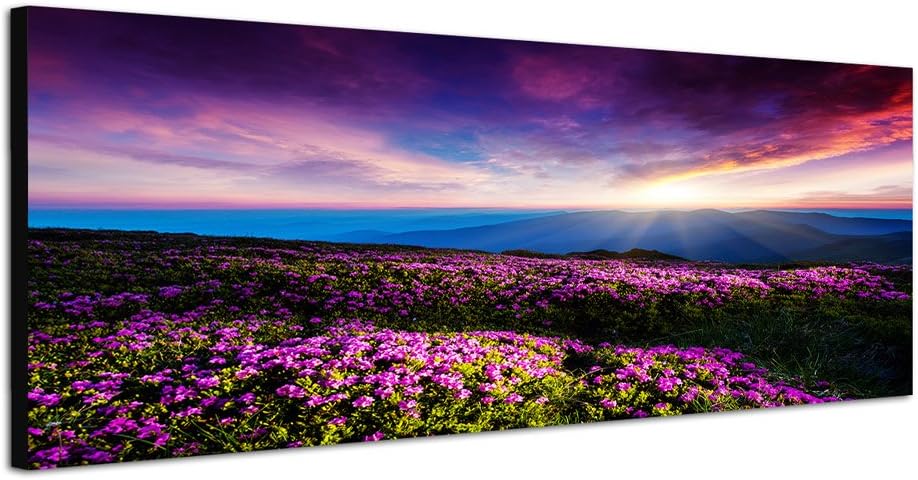 Paul Sinus Art Panoramabild auf Leinwand und Keilrahmen 120x40cm Ukraine Blumenwiese Berge Sonnenunt
