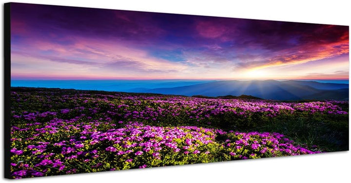 Paul Sinus Art Panoramabild auf Leinwand und Keilrahmen 120x40cm Ukraine Blumenwiese Berge Sonnenunt