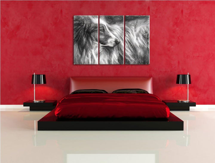 schöner Collie im Seitenprofil NewArt 3-Teiler Leinwandbild 120x80 Bild auf Leinwand, XXL riesige Bi