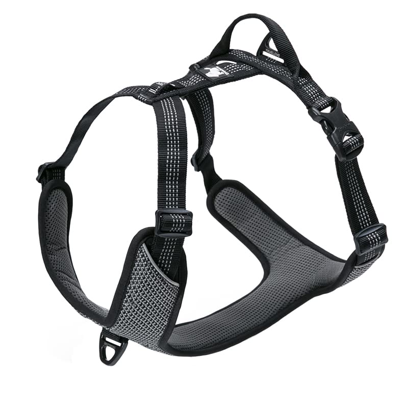 TRUE LOVE Hundegeschirr Outdoor Adventure II Reflektierende Weste mit 2 Leinenbefestigungen passende